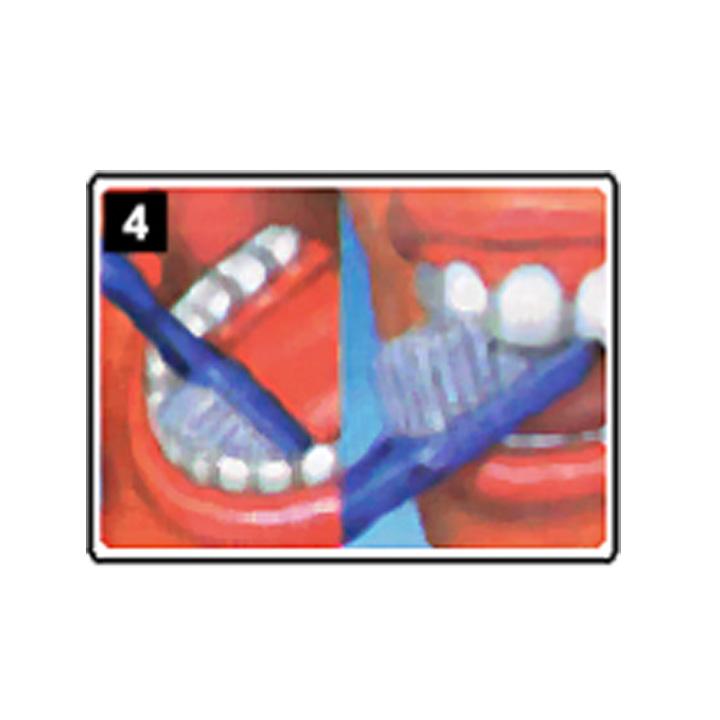 dentiste-chablais-article-hygiene-detartrage-brossage-04