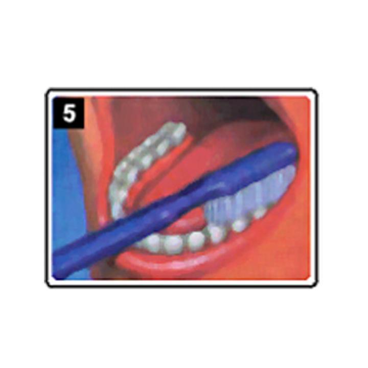 dentiste-chablais-article-hygiene-detartrage-brossage-05